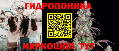 винт Балахна