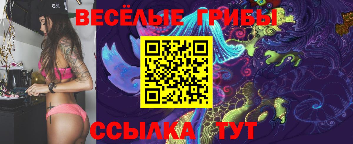 Долгопрудный  где продают наркотики  Галлюциногенные грибы Magic Shrooms  Вход с VPN  Псилоцибиновые грибы GOLDEN TEACHER 